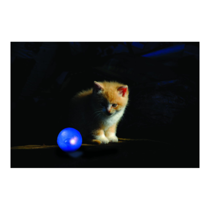 Twinkle Ball - Balle lumineuse et silencieuse – Image 3