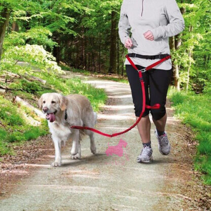 Ceinture ventrale avec laisse pour cani jogging – Image 2